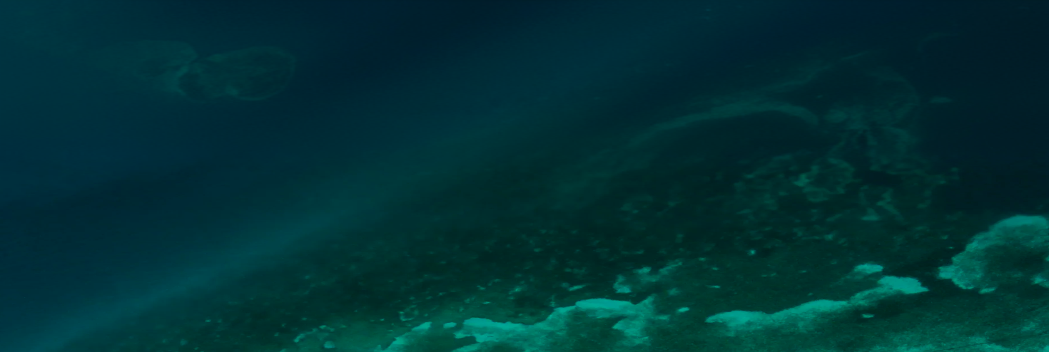banner-image