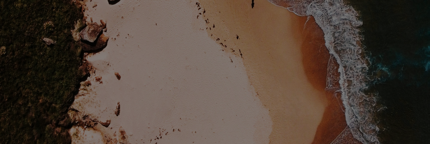 banner-image