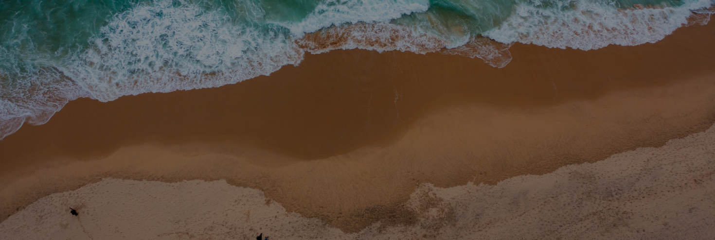 banner-image